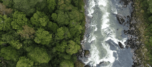 Nueva legislación para la naturaleza ¿Qué es la ley SBAP y cuál es su importancia para Chile? Un Resumen